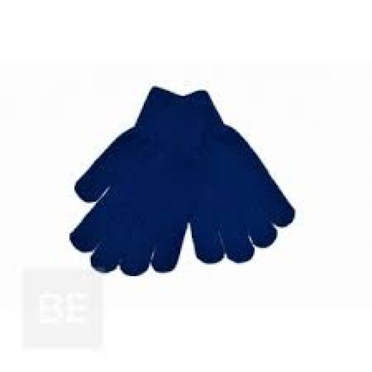 Royal Blue Winter Gloves