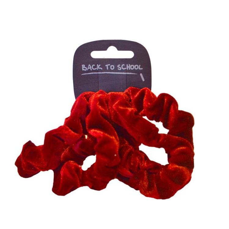 VELVET HAIR SCRUNCHIE (PACK OF 4)