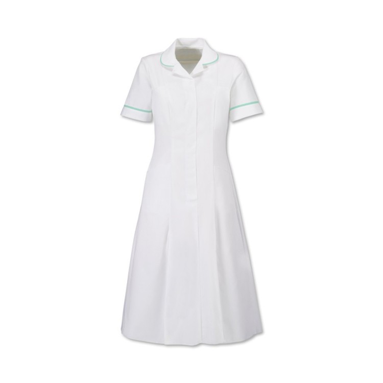 Classic Collar Dress (Whites)