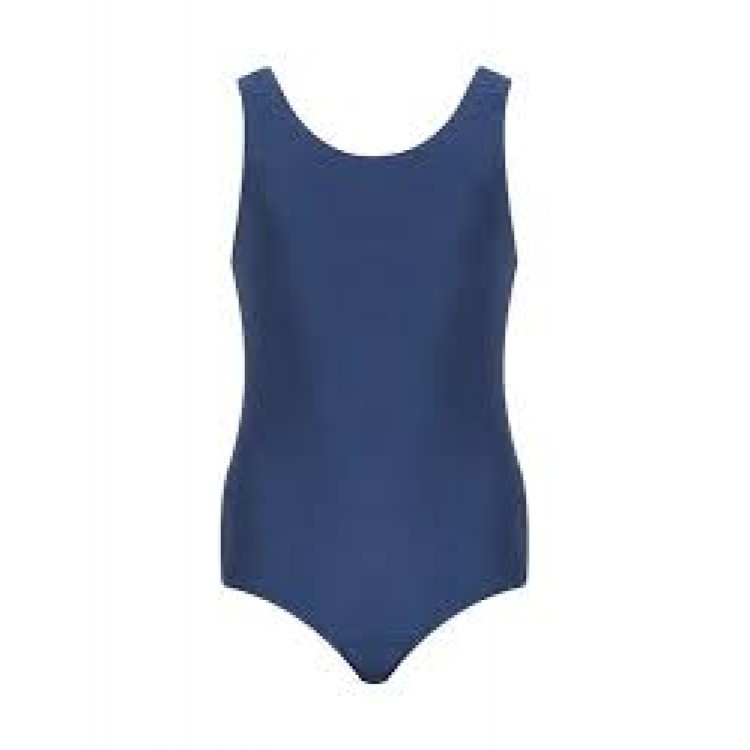 Freestyle Swimsuit in Royal Blue