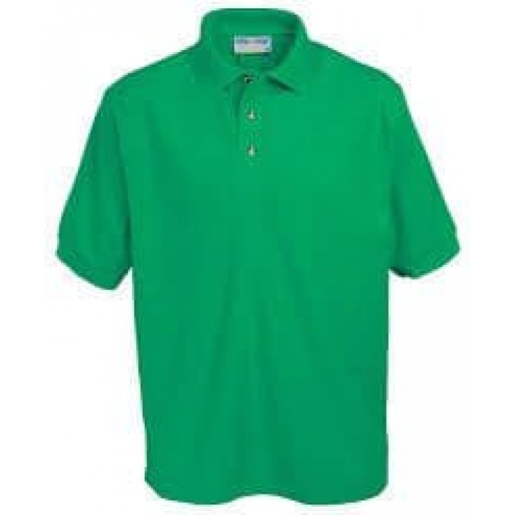 Highsted Grammar Seacole House Polo Shirt