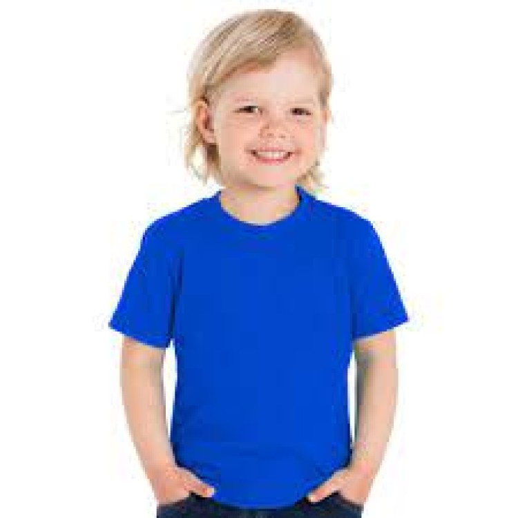 Borden Primary House Colour PE T-Shirt with Logo