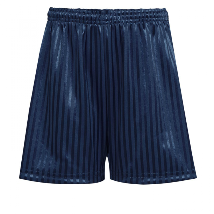 Navy P.E. Shorts