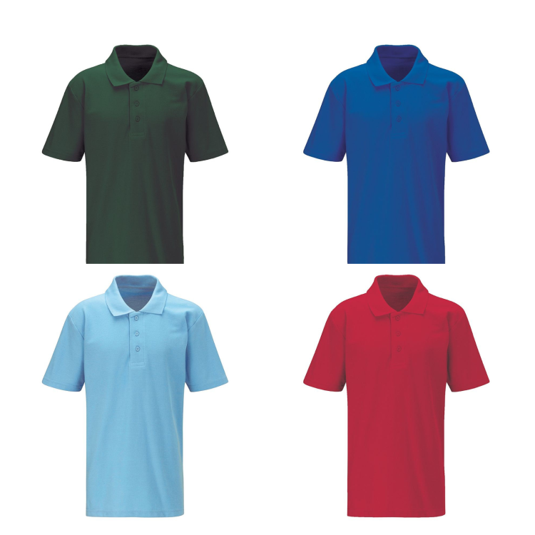 Classic Polo Shirt (Select Colour)