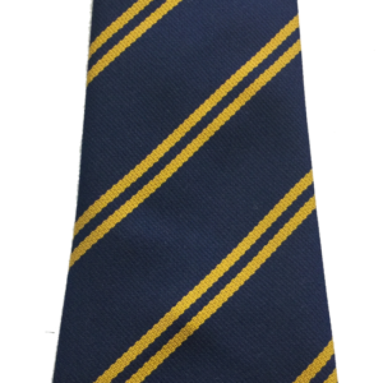 Regis Manor Primary School Tie