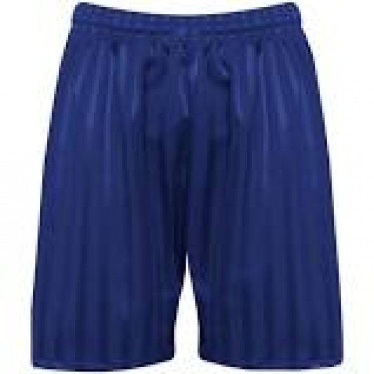 Royal Blue Shorts