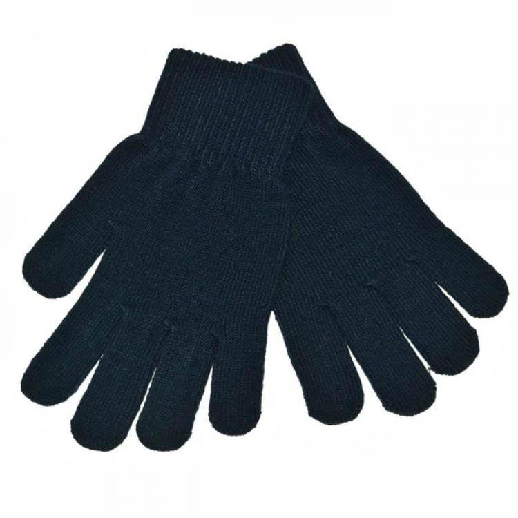 Navy Winter Gloves